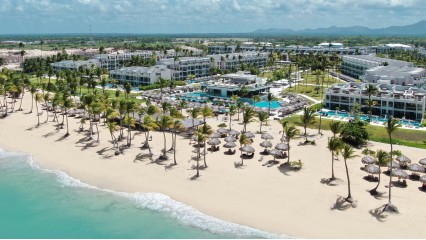 Excellence el carmen